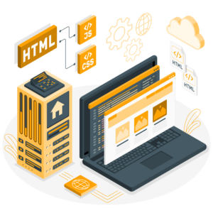 Professional Web Designing Services in Delhi