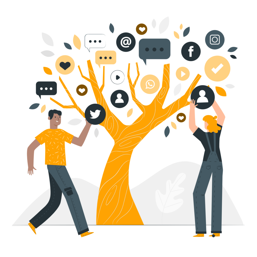 social-media-optimization-company-in-delhi